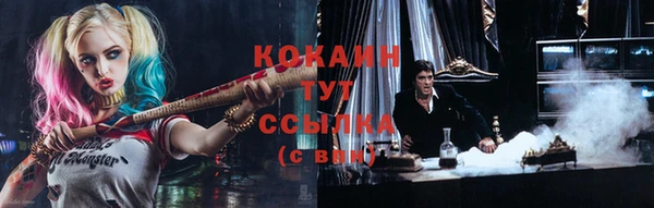 крисы Киренск