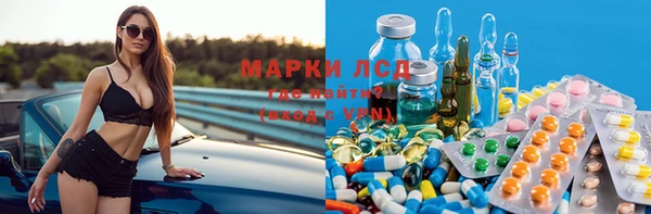 крисы Козельск