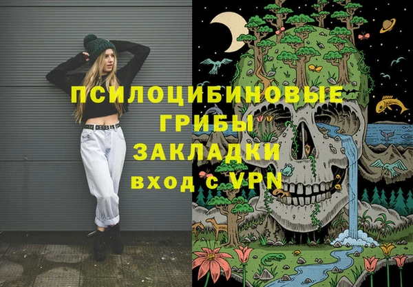 крисы Киренск