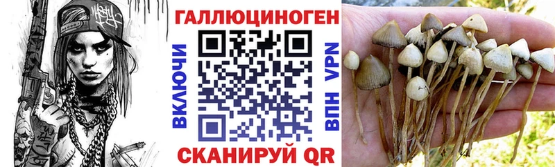 Галлюциногенные грибы Magic Shrooms  Чехов 
